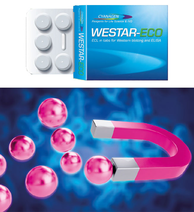 Medlab Middle East 2025 | CYANAGEN SRL |